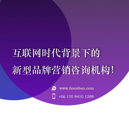 十大网络广告投放公司排名 引领互联网广告服务的佼佼者
